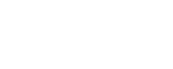 Flutio - logo